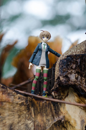 alun-alunnya-nikonian---part-12