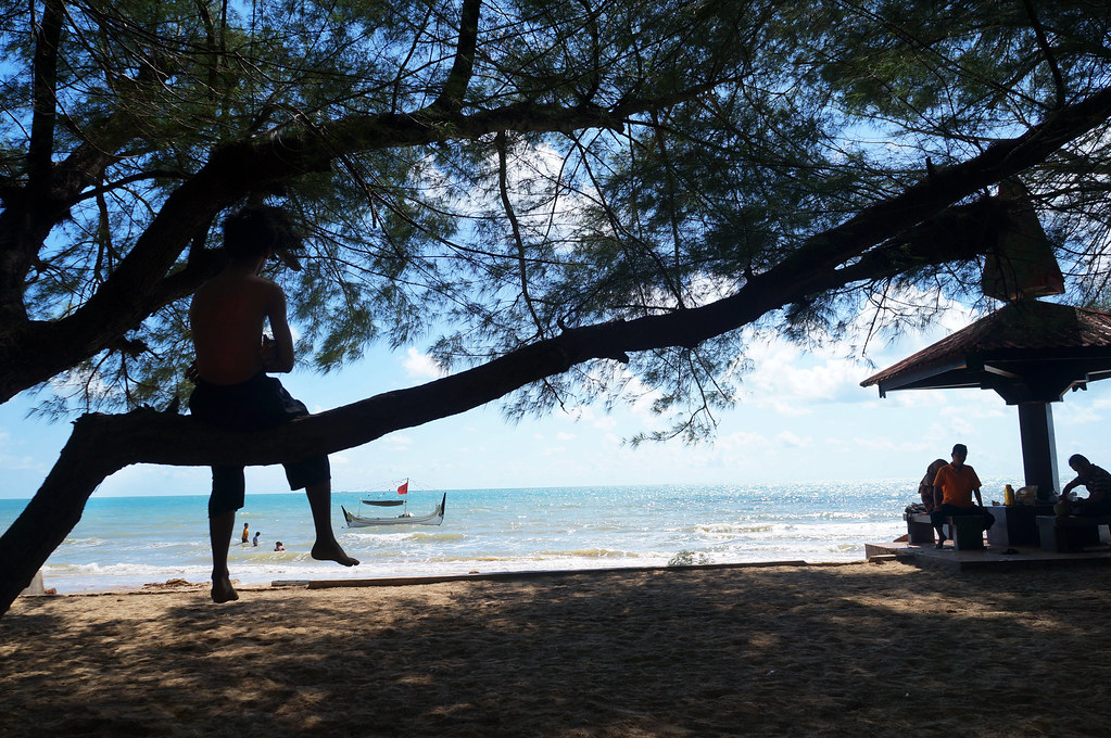 ~~~Pantai lombang sumenep, a hidden paradise in madura with, panta dengan cemara u~~~