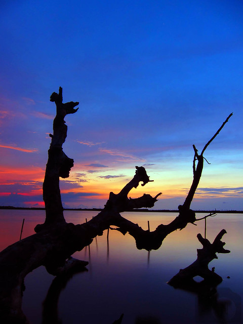 hobby---official-banten-photography---read-rules-first