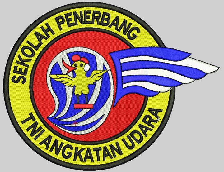 Profil IDP/PSDP Perwira Penerbang TNI yang Jarang terdengar