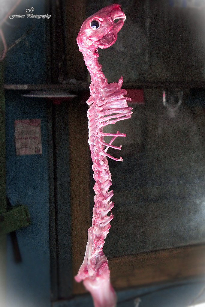 nongkrong-bareng-yang-masih-amatiran-dan-newbie---part-5