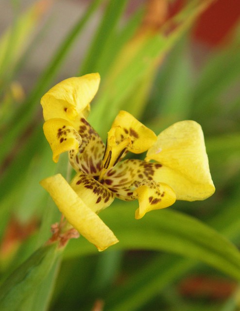 nongkrong-bareng-digital-pocket-dan-prosumer---part-3