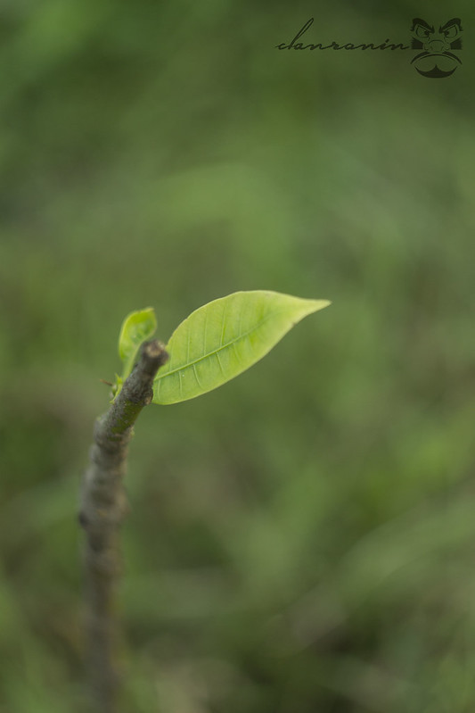 nongkrong-bareng-yang-masih-amatiran-dan-newbie---part-5