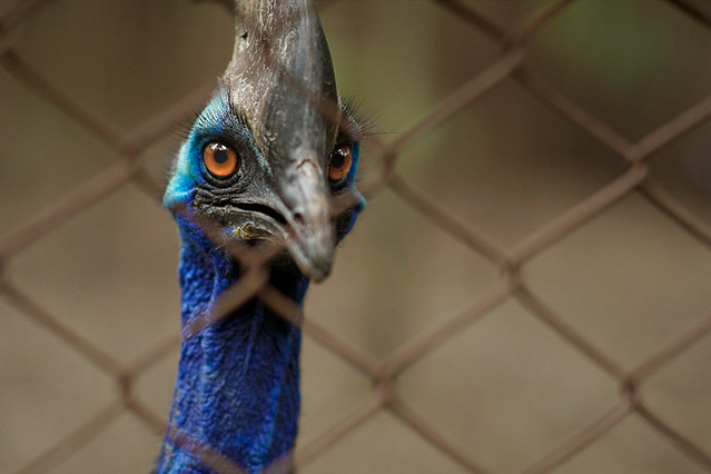 fish-eye-photograpy-discussion-n-gallery