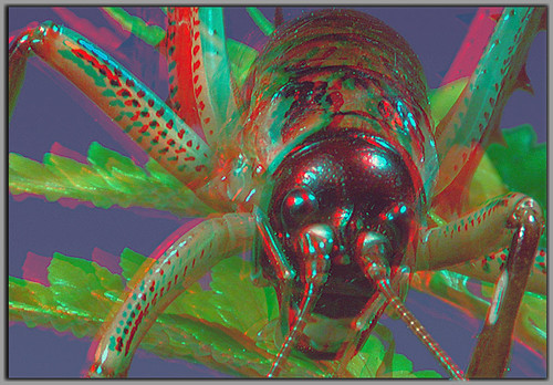 ::: HARGA REBUTAN ON! Kacamata 3D Red Cyan Termurah, Harga Mulai 5 ribu-an Jogja