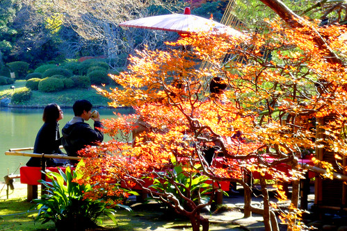 ~Rikugien~ Taman Indah dan cantik di Tokyo &#91;masuk gan +PIC&#93;