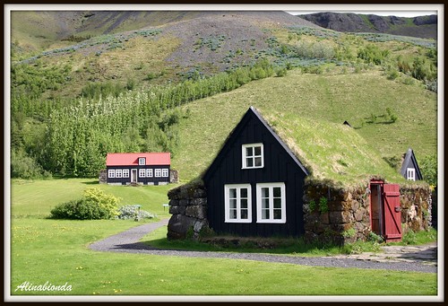 (turf houses) rumah berkonsep GO GREEN yang di selimuti rumput