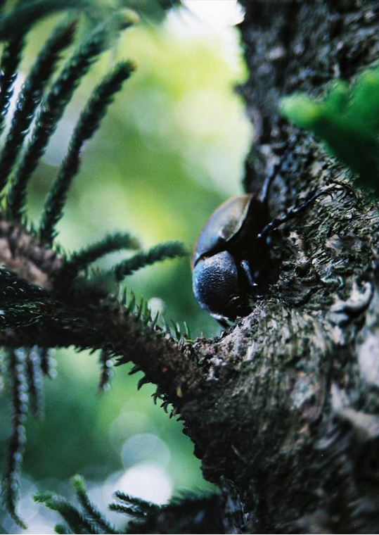 nongkrong-bareng-lensa-50mm-normal-lens