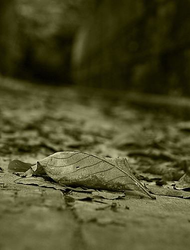 electrical-engineering-lounge