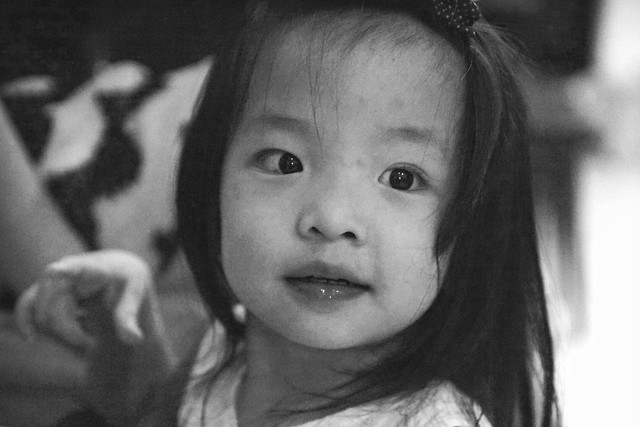 pendopo-sony-alpha---part-5--new