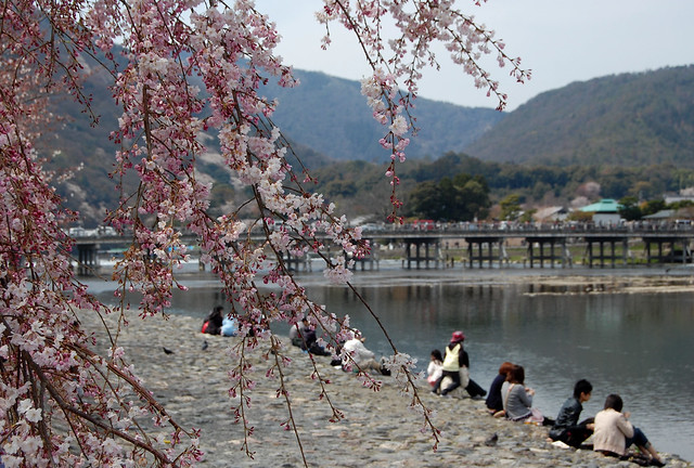 Terowongan Pencegah Banjir yang Indah &quot;Kamogawa&quot; Tokyo