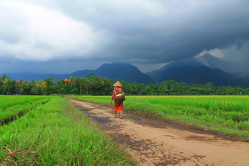 nongkrong-bareng-yang-masih-amatiran-dan-newbie---part-5