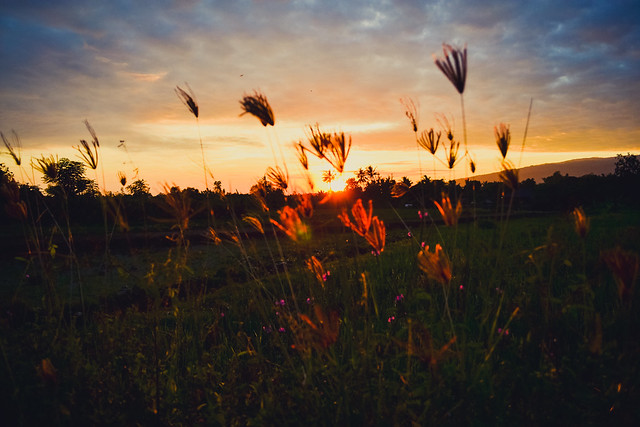 alun-alunnya-nikonian---part-11