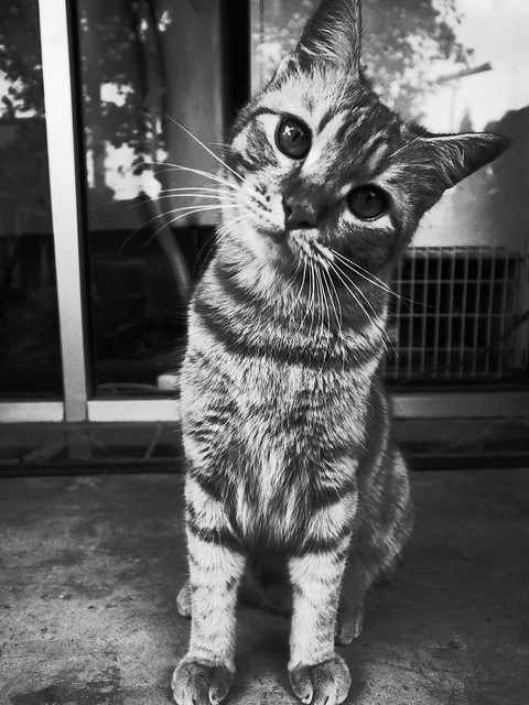 nongkrong-bareng-foto2-b-w