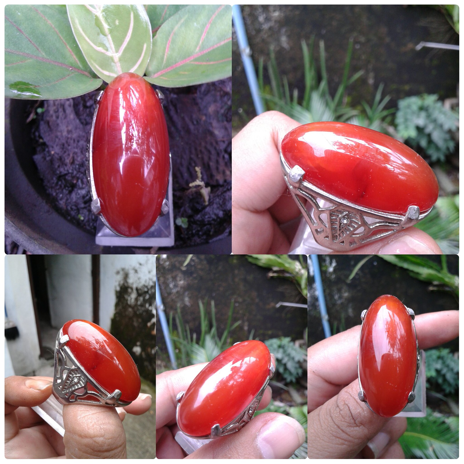 Lelang Kejar Setoran Akhir Bulan, Premium Inside,ITEM 0 Ada