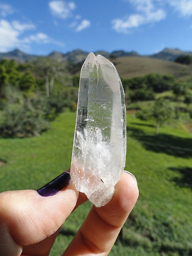 LEMURIAN ASLI BRAZIL
