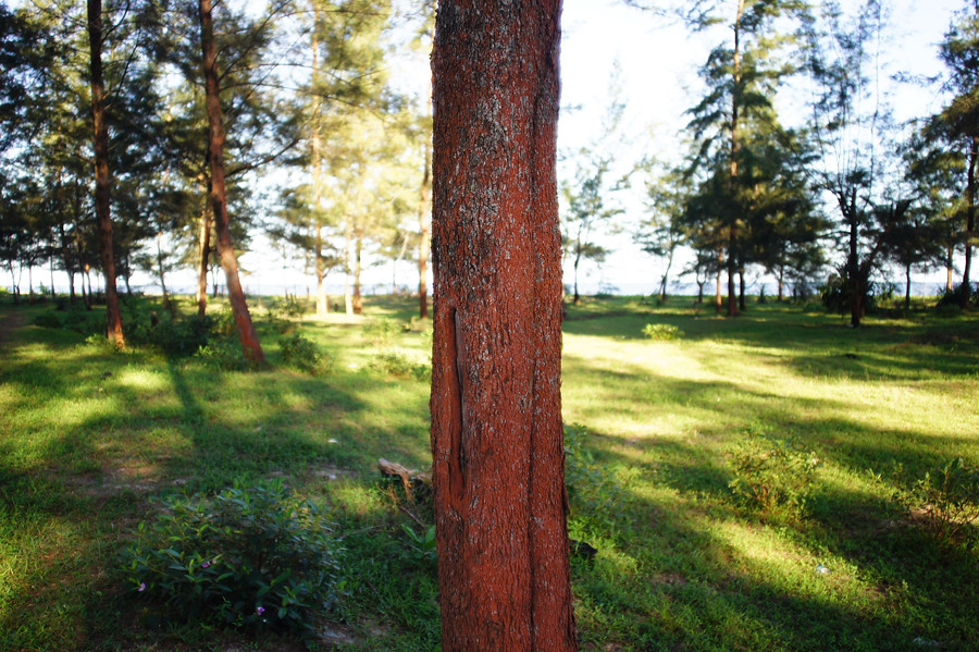 saung-lensa-manual---part-3