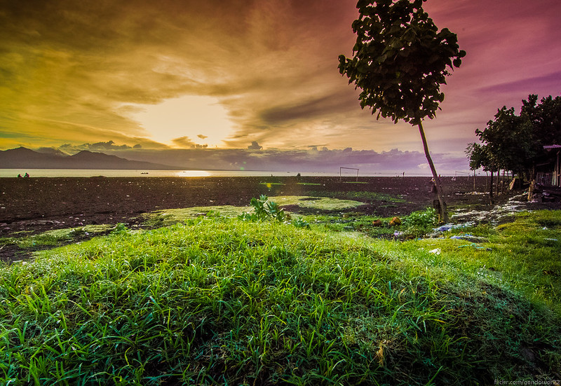 alun-alunnya-nikonian---part-12