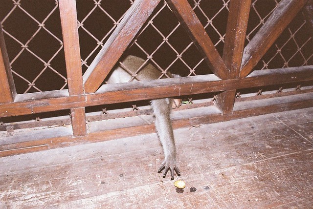 post-image