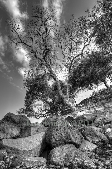 pentax-village---part-3--the-legend-still-continues