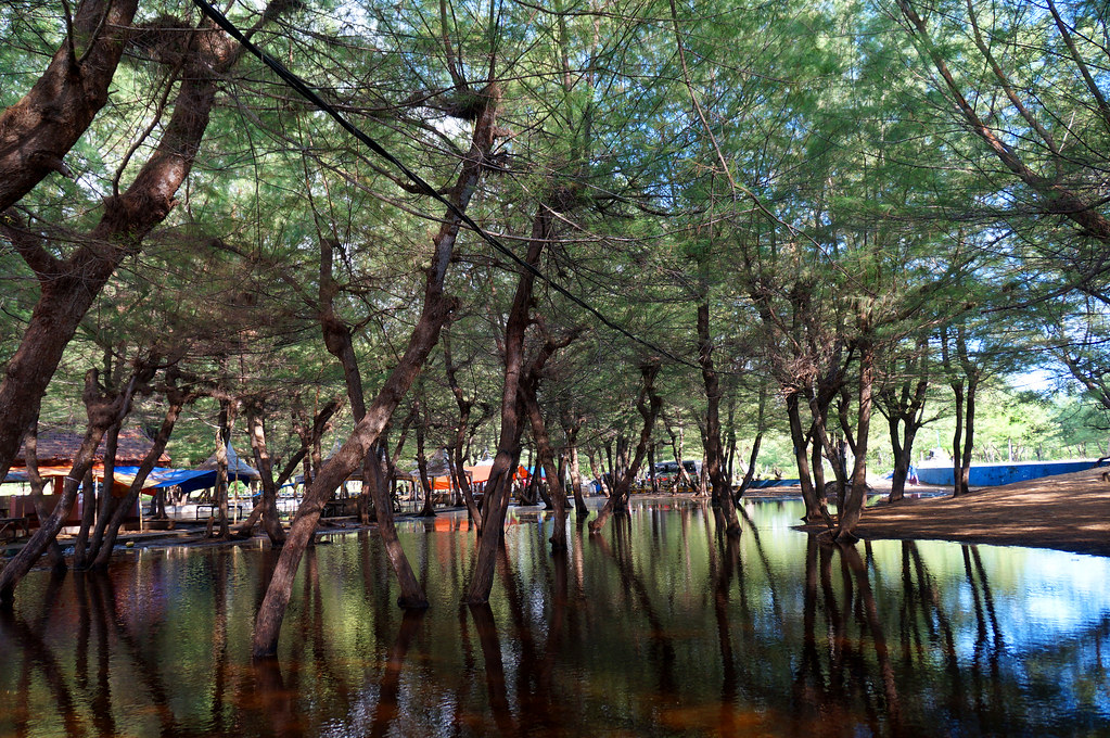 ~~~Pantai lombang sumenep, a hidden paradise in madura with, panta dengan cemara u~~~
