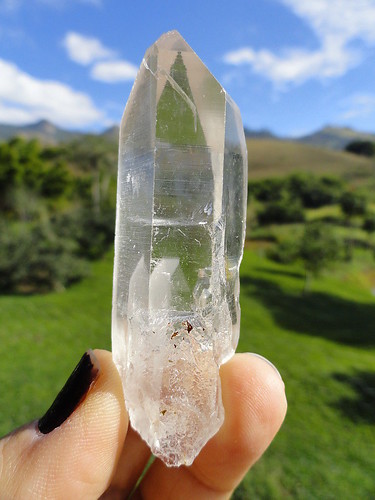 LEMURIAN ASLI BRAZIL