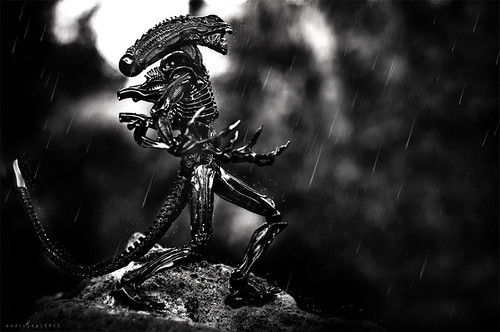 nongkrong-bareng-yang-masih-amatiran-dan-newbie---part-5