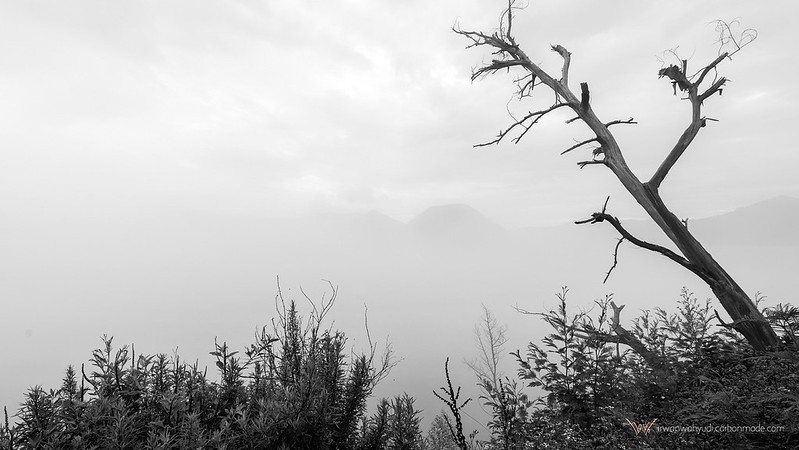 regional-surabaya-forest-v20--sekitarnya---part-5