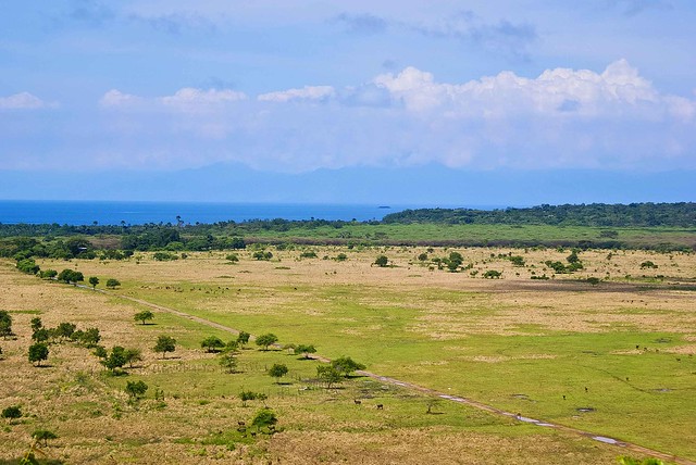 (FR) Amazing Long Trip Baluran-Menjangan-Lombok-Ijen-Dieng-Karimun Jawa