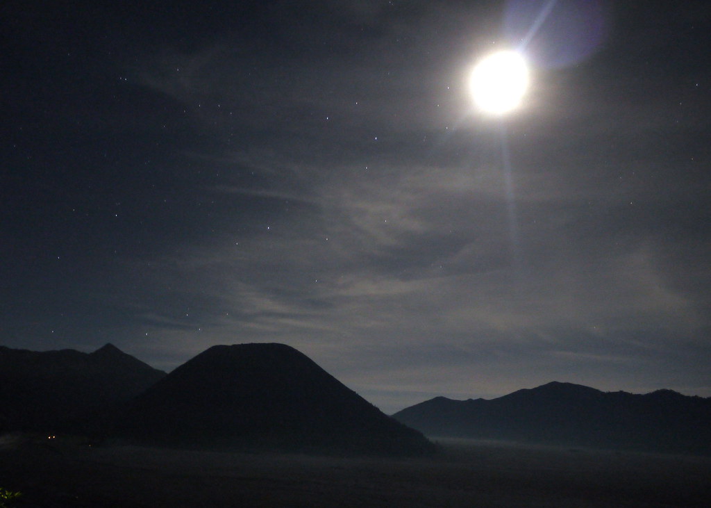 regional-surabaya-forest-v20--sekitarnya---part-6