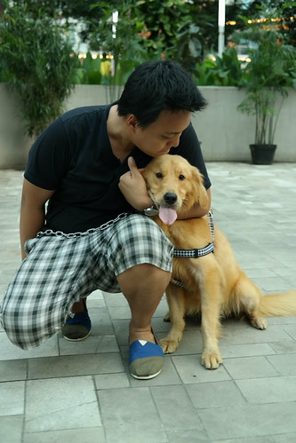 geoju-samseong-tempat-tinggal-samsung