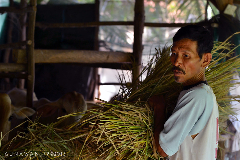 alun-alunnya-nikonian---part-11