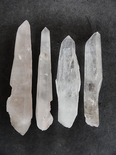 LEMURIAN ASLI BRAZIL