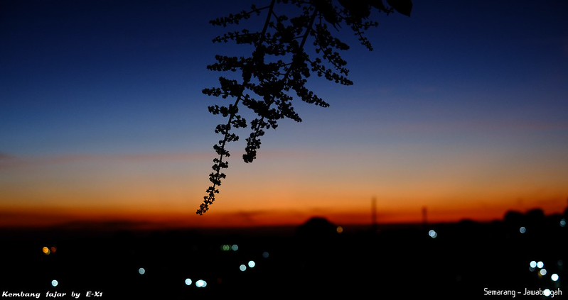 kavling-fujifilm---part-3