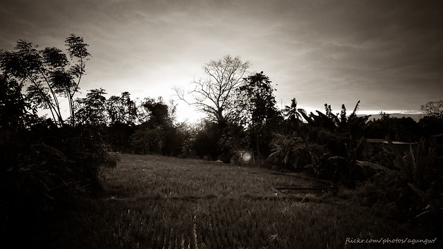 alun-alunnya-nikonian---part-11