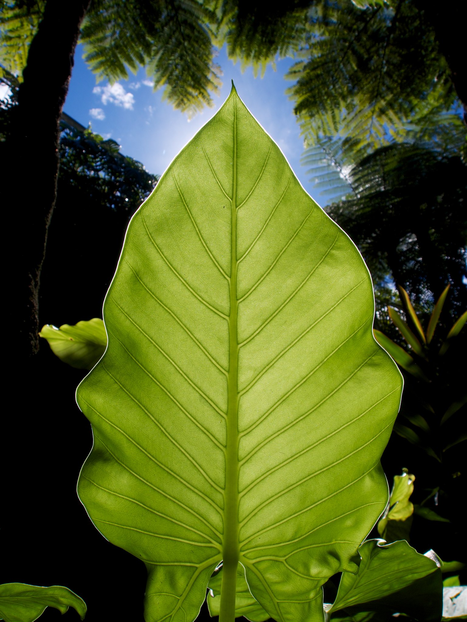 rumah-olympus---part-3