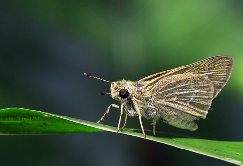 nongkrong-bareng-yang-masih-amatiran-dan-newbie---part-4