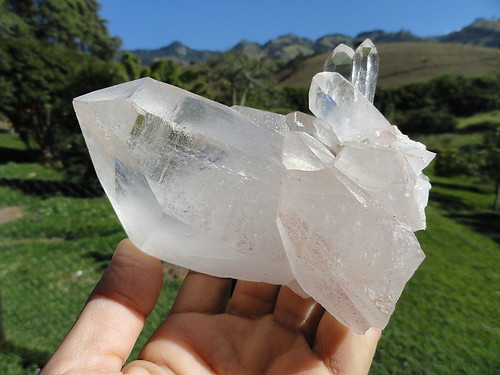 LEMURIAN ASLI BRAZIL