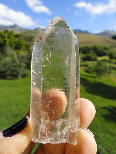 LEMURIAN ASLI BRAZIL