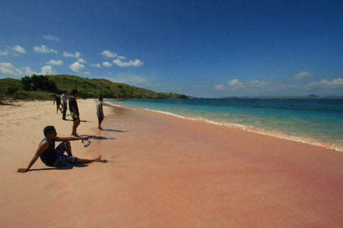 Sisi Lain Pulau Komodo