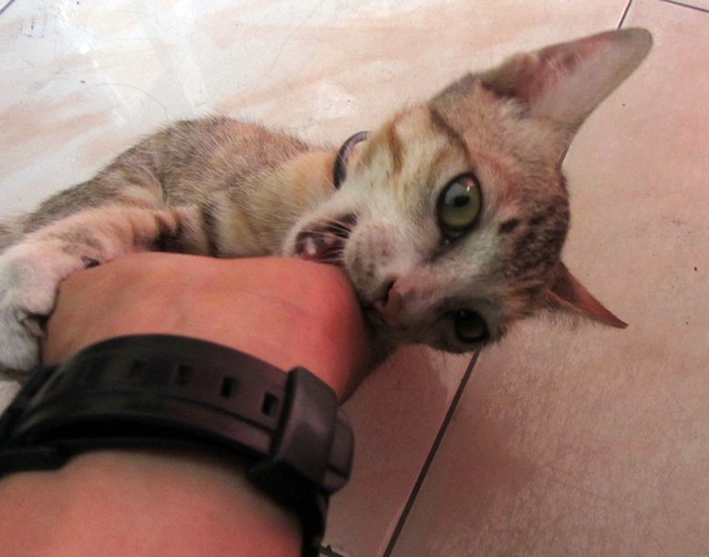 nongkrong-bareng-digital-pocket-dan-prosumer---part-3