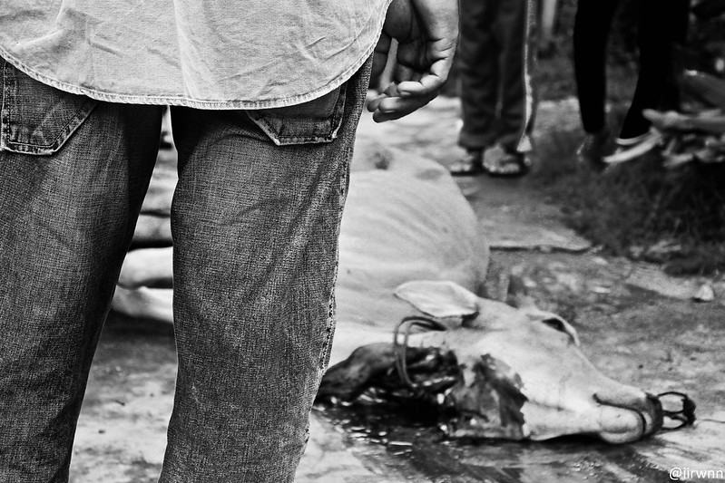 kampung-canoners---part-14