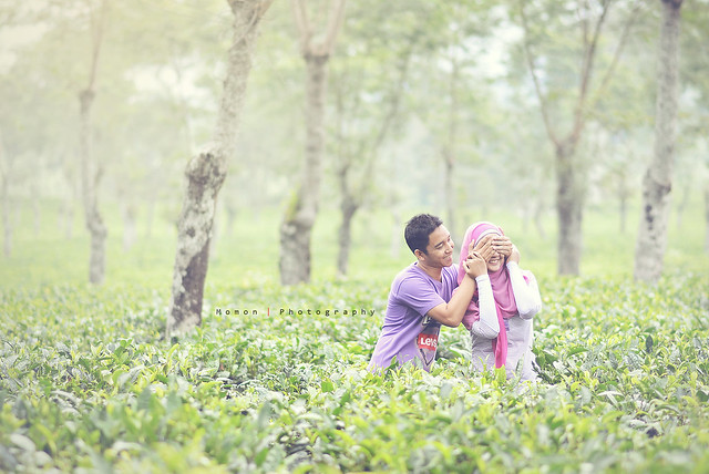 foto-prewed-gratisan