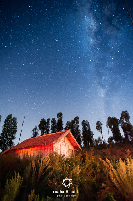 regional-surabaya-forest-v20--sekitarnya---part-6