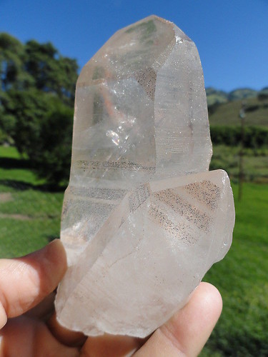 LEMURIAN ASLI BRAZIL
