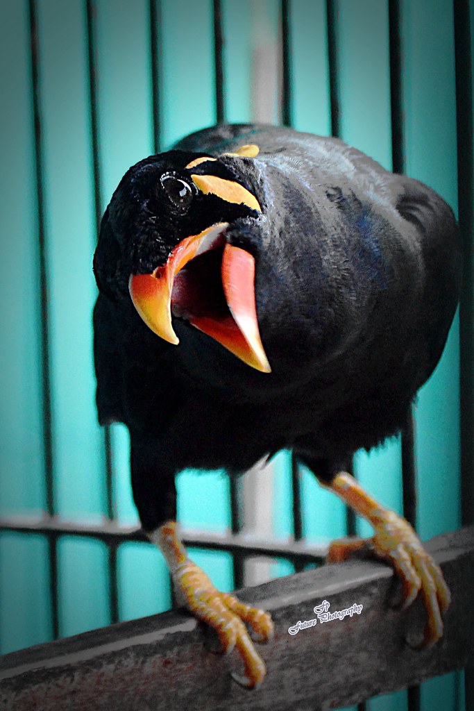 nongkrong-bareng-yang-masih-amatiran-dan-newbie---part-5