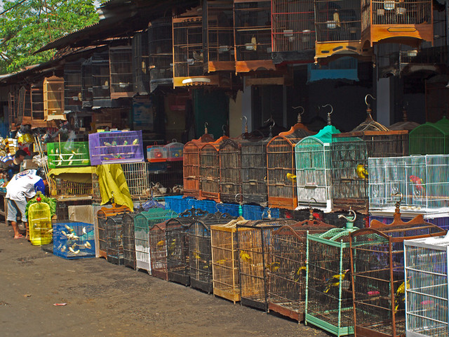 nongkrong-bareng-journalism-photography