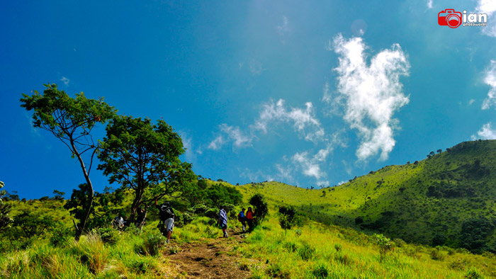 catper-puncak-triangulasi-gunung-merbabu-3142mdpl-via-selo-awas-racun-gan