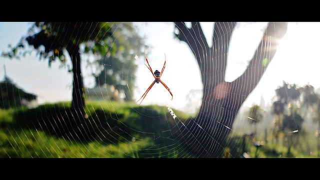 kavling-fujifilm---part-3