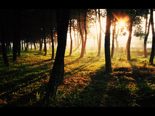 rumah-olympus---part-3